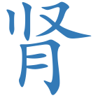 肾