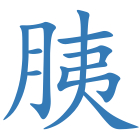 胰