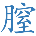 膣