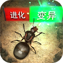 维C圆播APP