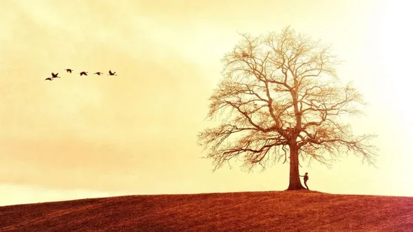 运势不顺的时候,多去这三个地方提升运势